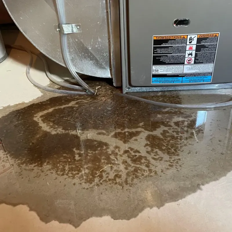 Pipe Burst and Leak Restoration in Kingston Springs, TN