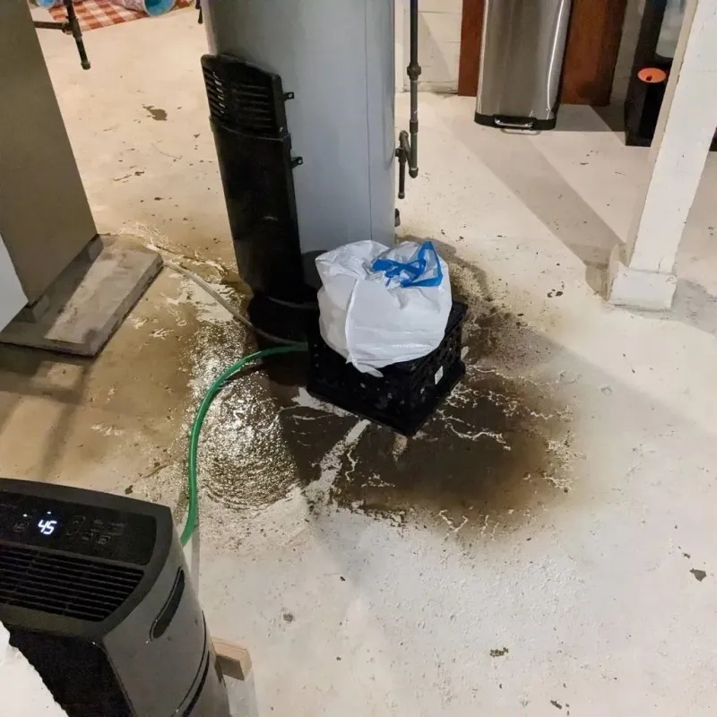 Sewage Backup Cleanup Service in Kingston Springs, TN